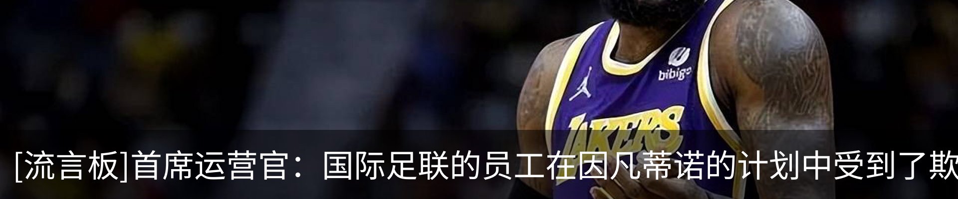 新闻动态